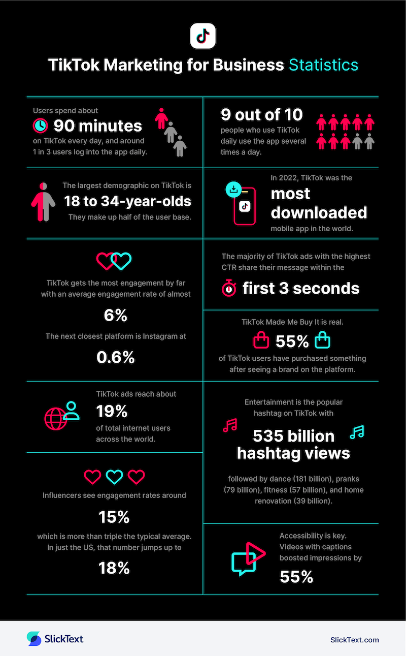 TikTok social media stats for business