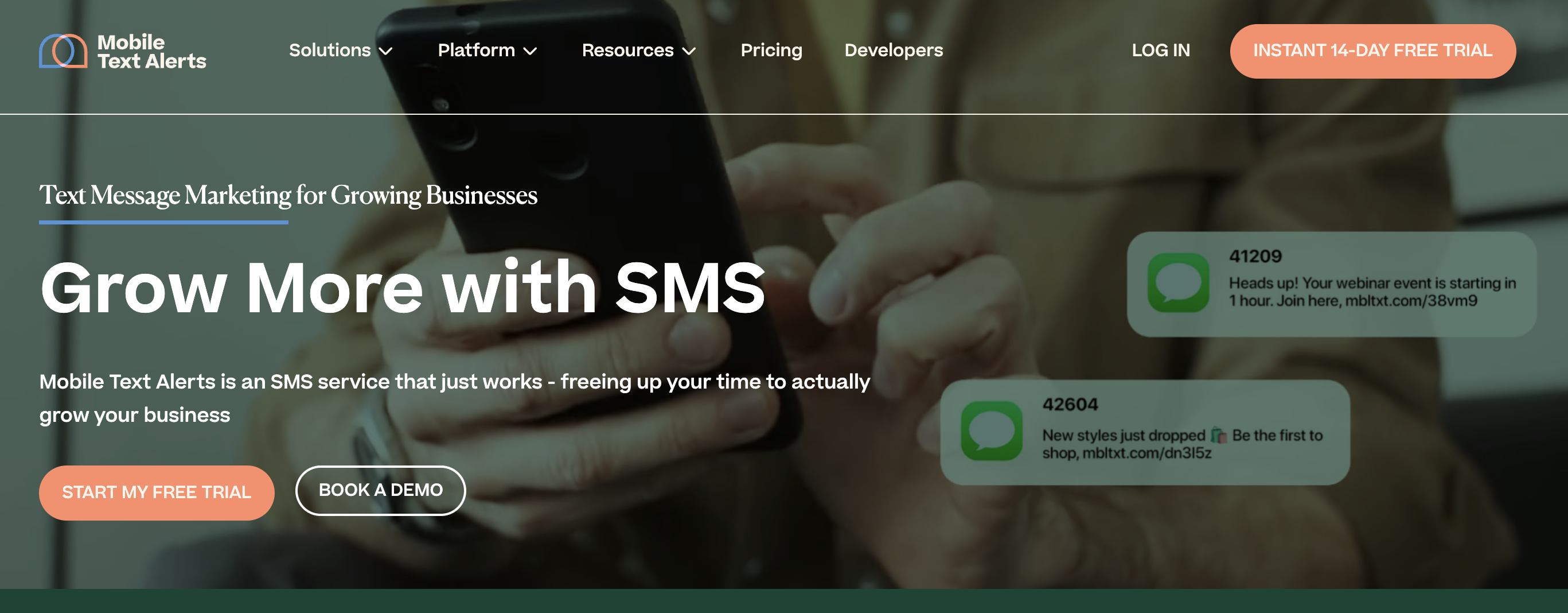 Screenshot of Mobile Text Alert SMS platform 